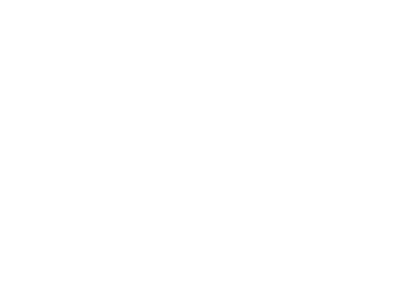 Torres Tax Services logo